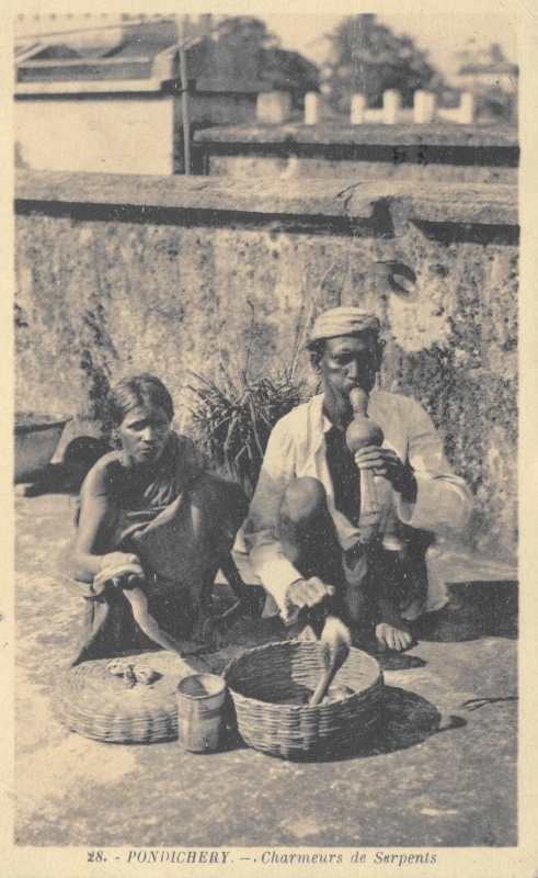 15-17 - Pondichery - charmeur de serpent - 4